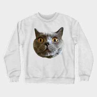 Chartreux Crewneck Sweatshirt